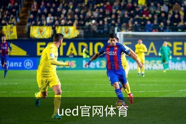 ued官网体育企业介绍图